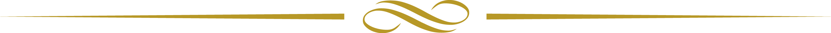 fancy_divider.png
